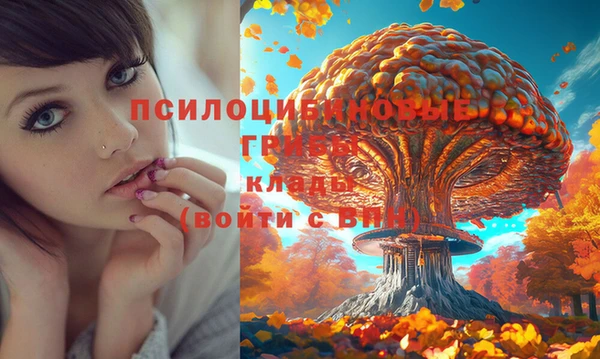 спайс Гусиноозёрск