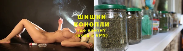 индика Шарыпово