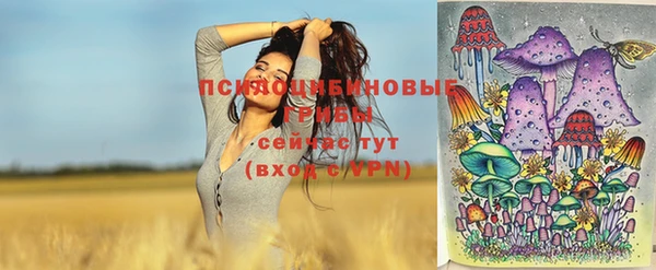 скорость Гусь-Хрустальный