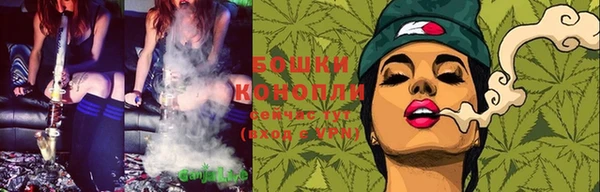 скорость Гусь-Хрустальный