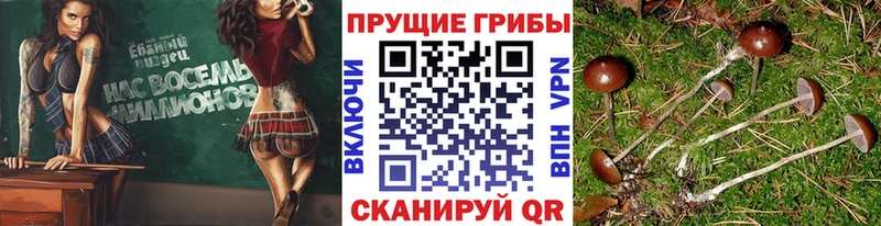 Псилоцибиновые грибы MAGIC MUSHROOMS кракен как зайти Олёкминск